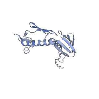 0076_6gwt_G_v1-1
Cryo-EM structure of an E. coli 70S ribosome in complex with RF3-GDPCP, RF1(GAQ) and Pint-tRNA (State I)