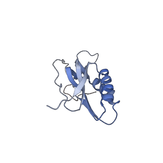 0076_6gwt_M_v1-1
Cryo-EM structure of an E. coli 70S ribosome in complex with RF3-GDPCP, RF1(GAQ) and Pint-tRNA (State I)