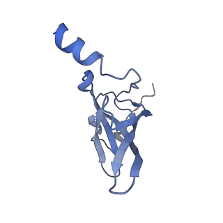 0076_6gwt_P_v1-1
Cryo-EM structure of an E. coli 70S ribosome in complex with RF3-GDPCP, RF1(GAQ) and Pint-tRNA (State I)