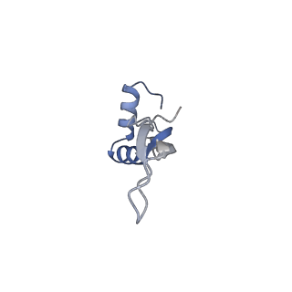 0076_6gwt_X_v1-1
Cryo-EM structure of an E. coli 70S ribosome in complex with RF3-GDPCP, RF1(GAQ) and Pint-tRNA (State I)
