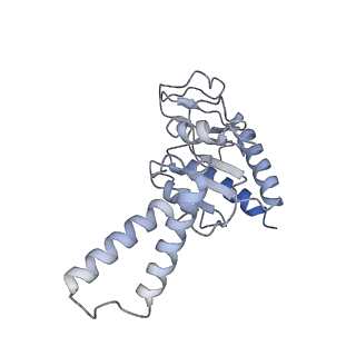 0076_6gwt_b_v1-1
Cryo-EM structure of an E. coli 70S ribosome in complex with RF3-GDPCP, RF1(GAQ) and Pint-tRNA (State I)
