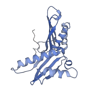 0076_6gwt_c_v1-1
Cryo-EM structure of an E. coli 70S ribosome in complex with RF3-GDPCP, RF1(GAQ) and Pint-tRNA (State I)