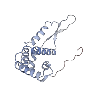 0076_6gwt_g_v1-1
Cryo-EM structure of an E. coli 70S ribosome in complex with RF3-GDPCP, RF1(GAQ) and Pint-tRNA (State I)
