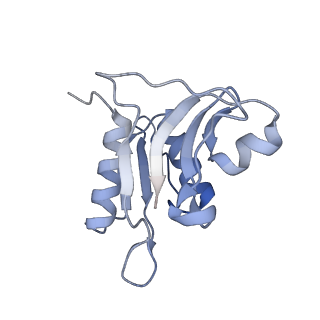 0076_6gwt_h_v1-1
Cryo-EM structure of an E. coli 70S ribosome in complex with RF3-GDPCP, RF1(GAQ) and Pint-tRNA (State I)