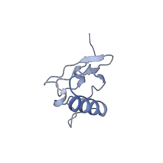 0076_6gwt_s_v1-1
Cryo-EM structure of an E. coli 70S ribosome in complex with RF3-GDPCP, RF1(GAQ) and Pint-tRNA (State I)