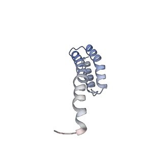 0076_6gwt_t_v1-1
Cryo-EM structure of an E. coli 70S ribosome in complex with RF3-GDPCP, RF1(GAQ) and Pint-tRNA (State I)