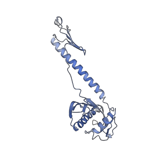 0076_6gwt_v_v1-1
Cryo-EM structure of an E. coli 70S ribosome in complex with RF3-GDPCP, RF1(GAQ) and Pint-tRNA (State I)