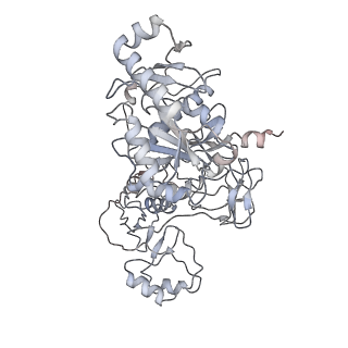0076_6gwt_w_v1-1
Cryo-EM structure of an E. coli 70S ribosome in complex with RF3-GDPCP, RF1(GAQ) and Pint-tRNA (State I)