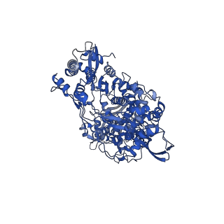 34308_8gwb_A_v2-0
SARS-CoV-2 E-RTC complex with RNA-nsp9