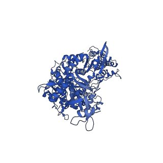34310_8gwe_A_v2-0
SARS-CoV-2 E-RTC complex with RNA-nsp9 and GMPPNP