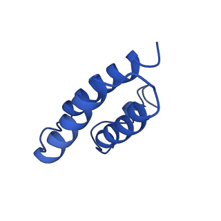 34310_8gwe_C_v2-0
SARS-CoV-2 E-RTC complex with RNA-nsp9 and GMPPNP