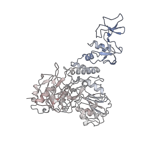 34310_8gwe_E_v2-0
SARS-CoV-2 E-RTC complex with RNA-nsp9 and GMPPNP