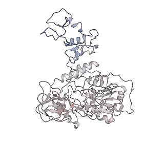 34310_8gwe_F_v2-0
SARS-CoV-2 E-RTC complex with RNA-nsp9 and GMPPNP