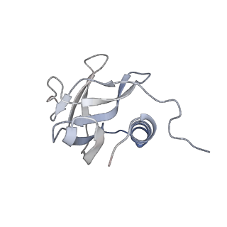 34310_8gwe_G_v2-0
SARS-CoV-2 E-RTC complex with RNA-nsp9 and GMPPNP