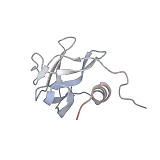 34311_8gwf_G_v1-0
A mechanism for SARS-CoV-2 RNA capping and its inhibition by nucleotide analogue inhibitors