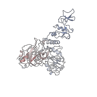 34317_8gwn_E_v1-0
A mechanism for SARS-CoV-2 RNA capping and its inhibitor of AT-527