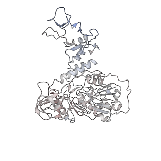 34317_8gwn_F_v1-0
A mechanism for SARS-CoV-2 RNA capping and its inhibitor of AT-527