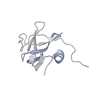 34317_8gwn_G_v1-0
A mechanism for SARS-CoV-2 RNA capping and its inhibitor of AT-527