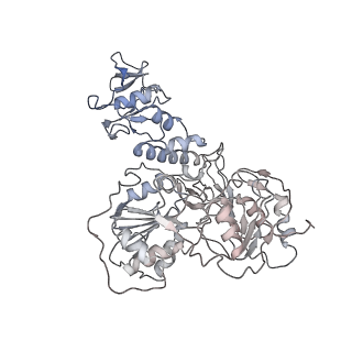 34318_8gwo_E_v1-0
A mechanism for SARS-CoV-2 RNA capping and its inhibition by nucleotide analogue inhibitors