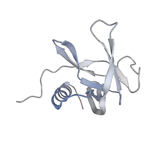 34318_8gwo_G_v1-0
A mechanism for SARS-CoV-2 RNA capping and its inhibition by nucleotide analogue inhibitors