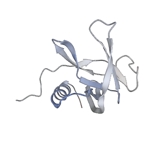 34318_8gwo_G_v2-0
A mechanism for SARS-CoV-2 RNA capping and its inhibition by nucleotide analogue inhibitors