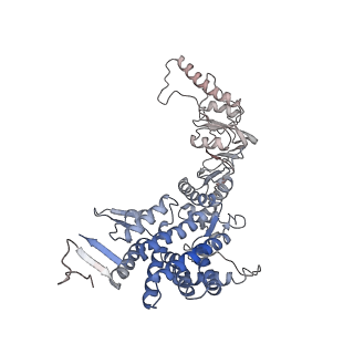 9540_5gw4_A_v1-1
Structure of Yeast NPP-TRiC