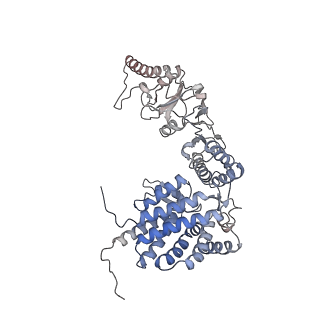 9540_5gw4_D_v1-1
Structure of Yeast NPP-TRiC