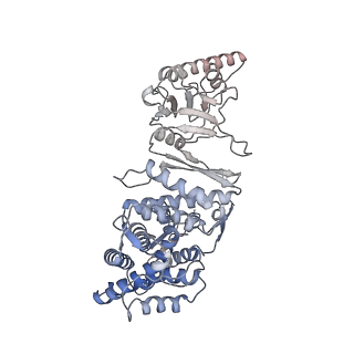 9540_5gw4_E_v1-1
Structure of Yeast NPP-TRiC