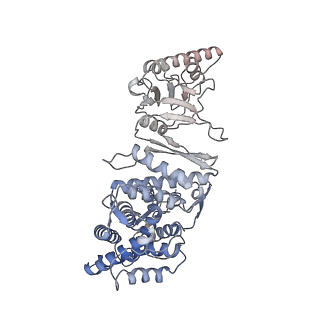 9540_5gw4_E_v1-2
Structure of Yeast NPP-TRiC