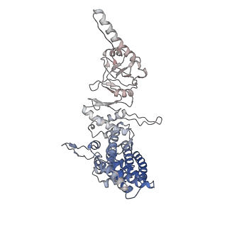 9540_5gw4_G_v1-1
Structure of Yeast NPP-TRiC
