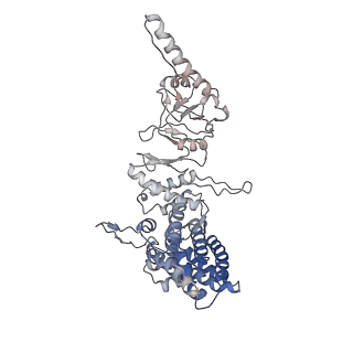 9540_5gw4_G_v1-2
Structure of Yeast NPP-TRiC