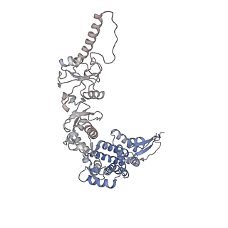 9540_5gw4_H_v1-1
Structure of Yeast NPP-TRiC