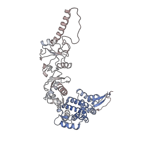 9540_5gw4_H_v1-2
Structure of Yeast NPP-TRiC