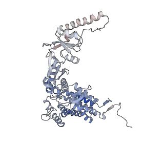 9540_5gw4_Q_v1-1
Structure of Yeast NPP-TRiC