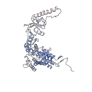 9540_5gw4_Q_v1-2
Structure of Yeast NPP-TRiC