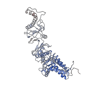 9540_5gw4_Z_v1-2
Structure of Yeast NPP-TRiC