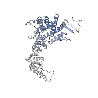 9540_5gw4_a_v1-1
Structure of Yeast NPP-TRiC