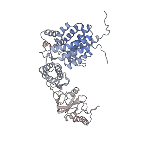 9540_5gw4_d_v1-2
Structure of Yeast NPP-TRiC