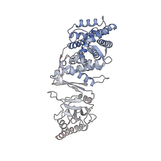9540_5gw4_e_v1-1
Structure of Yeast NPP-TRiC