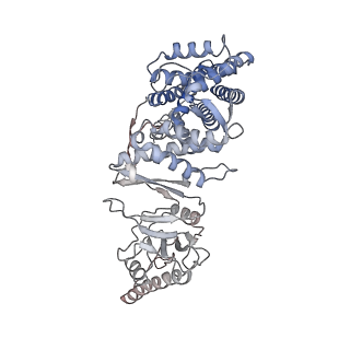 9540_5gw4_e_v1-2
Structure of Yeast NPP-TRiC