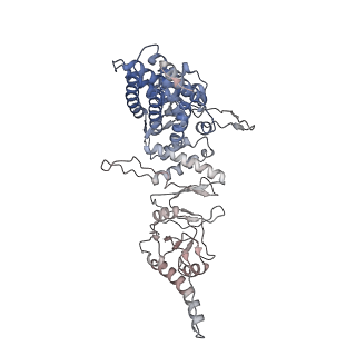 9540_5gw4_g_v1-1
Structure of Yeast NPP-TRiC