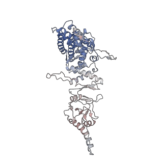 9540_5gw4_g_v1-2
Structure of Yeast NPP-TRiC