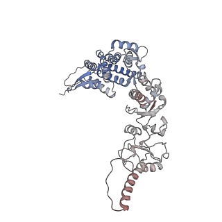 9540_5gw4_h_v1-2
Structure of Yeast NPP-TRiC