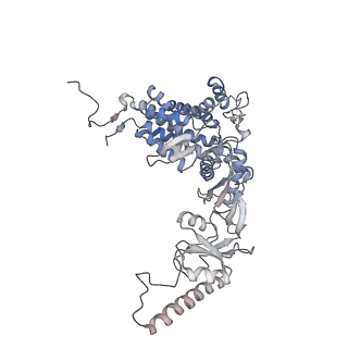 9540_5gw4_q_v1-1
Structure of Yeast NPP-TRiC