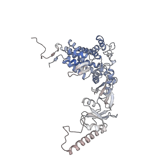 9540_5gw4_q_v1-2
Structure of Yeast NPP-TRiC