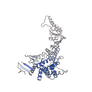 9541_5gw5_A_v1-1
Structure of TRiC-AMP-PNP