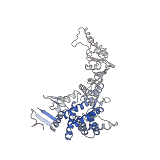 9541_5gw5_A_v1-2
Structure of TRiC-AMP-PNP