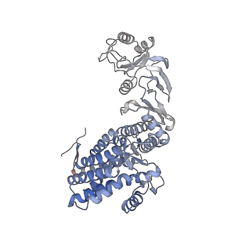 9541_5gw5_B_v1-1
Structure of TRiC-AMP-PNP