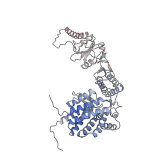 9541_5gw5_D_v1-2
Structure of TRiC-AMP-PNP