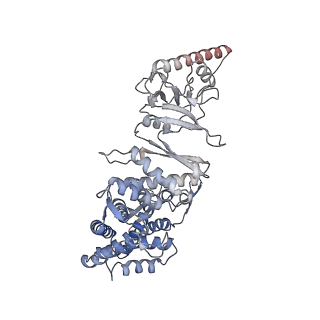 9541_5gw5_E_v1-1
Structure of TRiC-AMP-PNP